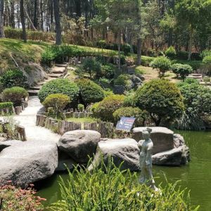 Bosque los Colomos